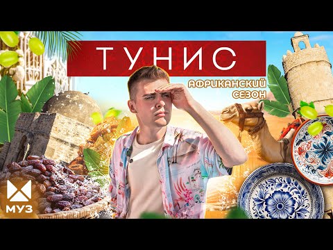 Видео: ТУНИС | Сокровища в пустыне, Голливуд на барханах и котики