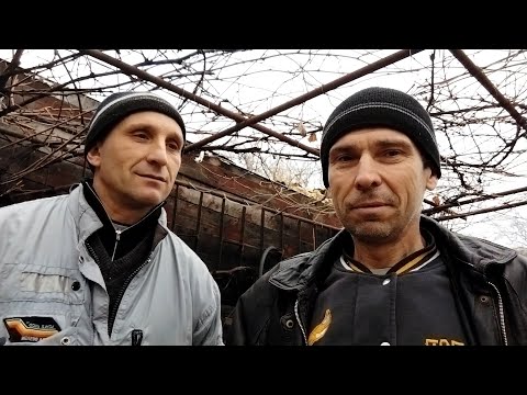 Видео: Бюджетный пчелопавильон. В гостях у коллеги.