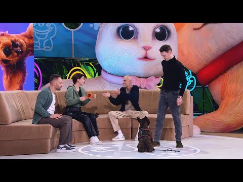 Видео: Передача "В кругу друзей"(Бульдог-Агрессия на фен)