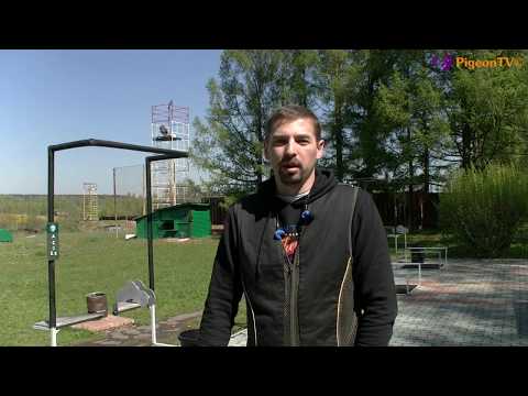 Видео: Уроки стендовой стрельбы: Тренировочный план.