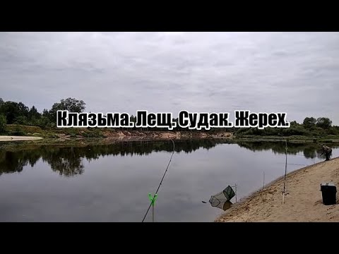 Видео: Рыбалка на Клязьме. Часть 2. Утро. Судак на закидушки. Лещ, жерех.