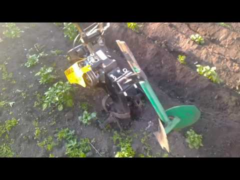 Видео: Прополка + окучивание картофеля мотоблоком