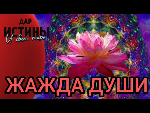 Видео: ✅🔯ЖАЖДА ДУШИ⁉️⁉️⁉️🔯✅