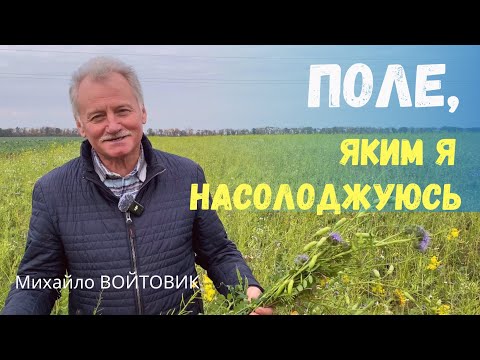 Видео: Поле, яке цвіте восени: покривні культури, що оживляють ґрунт 🌱