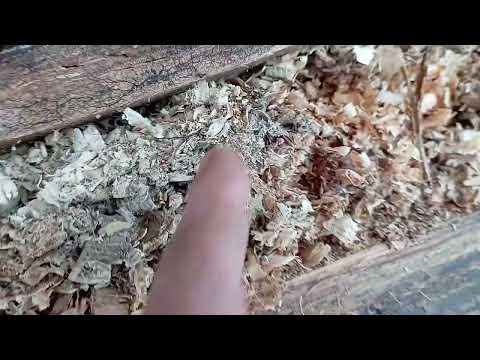 Видео: Кошмар каркасник..сгнил..