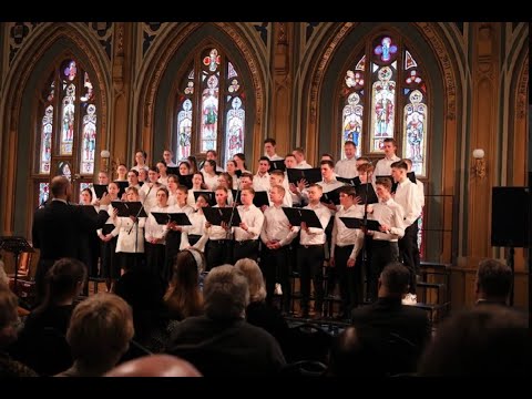 Видео: Небо красивое, небо родное - Хор Прибалтийской молодежи (МСЦ ЕХБ)