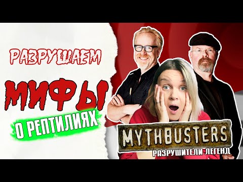 Видео: Так ли страшны рептилии, как о них говорят?