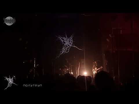 Видео: БЕРЕСТА в ЛАСТОЧКЕ 27.09.25