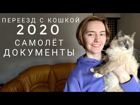 Видео: Переезд с кошкой на самолете || Belavia Airlines || Мой опыт || Февраль 2020