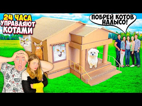 Видео: ПОДПИСЧИКИ УПРАВЛЯЮТ КАРТОННЫМ ДОМОМ С КОТАМИ | ЗАДАНИЯ ПО КОММЕНТАРИЯМ
