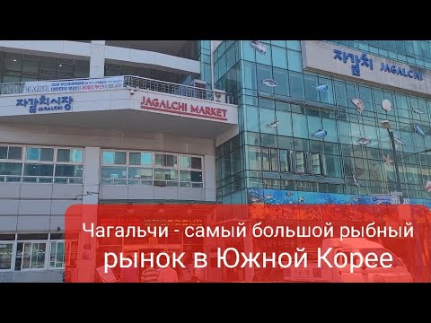 Видео: Чагальчи | самый крупный рыбный рынок в Южной Корее