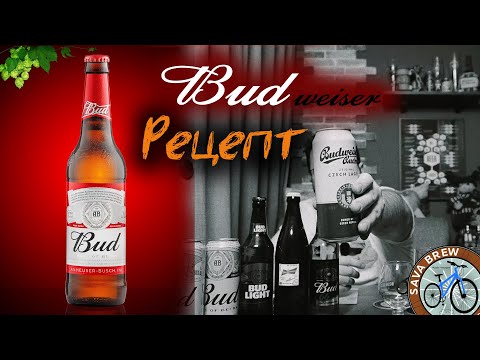 Видео: Сварил BUD | Попробовал ВЕСЬ Budweiser | рецепт ПИВА