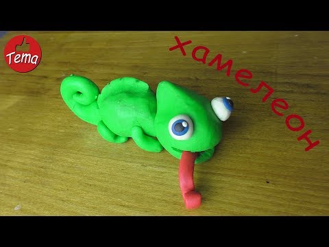 Видео: Хамелеон из пластилина #изпластилина #хамелеон #длядетей #forkids