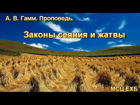 Видео: "Законы сеяния и жатвы". А. В. Гамм. МСЦ ЕХБ.
