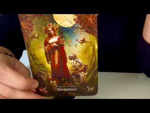 Видео: СТРЕЛЕЦ! 5-15/11/25! Изобилие! 