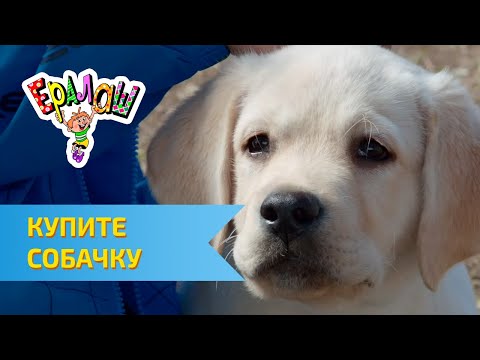 Видео: Ералаш Купите Собачку (Выпуск №301)