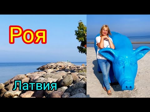 Видео: 259.Латвия.Роя. Ройский пляж.Синий поросёнок надежды. Каменистый мол.Воспоминание о бабушке.