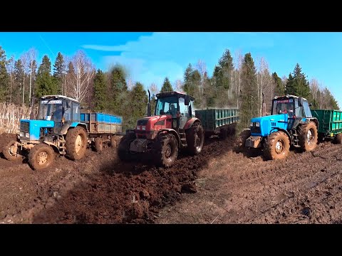 Видео: Тракторы МТЗ-82, МТЗ-1523 или МТЗ-1221, очевидная разница по проходимости?!