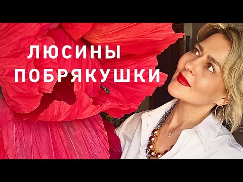 Видео: Что у Люси в шкатулках ⁉️💃🫣🎀🥻💄🤩