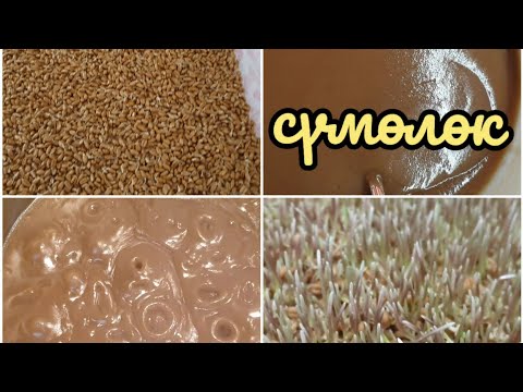 Видео: Сүмөлөк -2020.Москвада үй шартында сүмөлөк кайнатабыз.