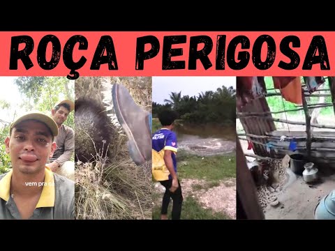 Видео: ОПАСНОСТИ РОЧА. Моленга не справится с этим!