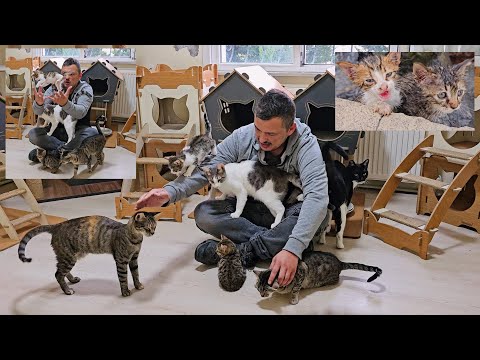 Видео: Мужчина, который нашёл счастье в маленьких лапках котят, которых он спас.