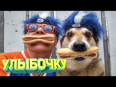 Видео: ЛУЧШИЕ ПРИКОЛЫ 2024 угар до слез тест на психику мемы смешные видео попробуй не засмеяться coub #96