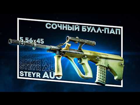 Видео: ДО СИХ ПОР ИМБА? ОБЗОР STEYR AUG