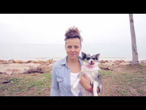 Видео: Ожирение у собак: опасности лишнего веса | Часть 2 | Догмама