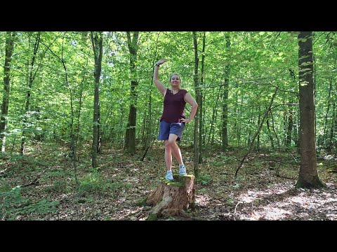 Видео: Нас манят горы лес.