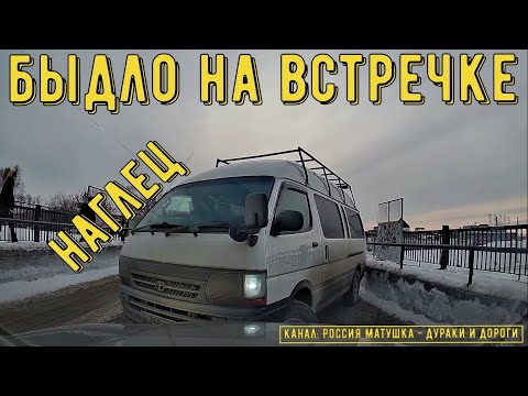 Видео: Быдло на встречке #151! Подборка на видеорегистратор!
