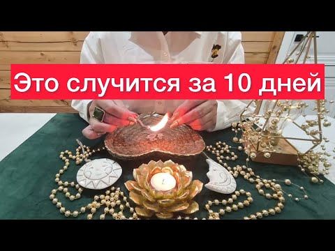 Видео: 💣Все что скажу: случится за 10 дней💣