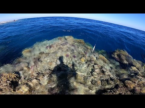 Видео: Рыбалка в Египте! Рыбалка на море ЗИМОЙ! Февральский джиггинг в НЕВЕРОЯТНОМ месте