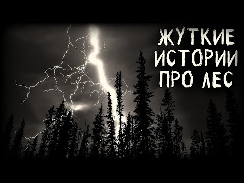 Видео: Жyткие истории про Лес. Мистика от участников событий (3в1)