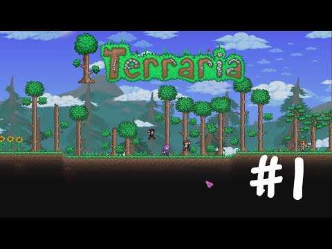 Видео: Terraria (Co-op) #1 - Початок емо пригод!