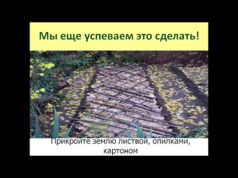 Видео: Основные принципы АПЗ часть 4  Почвенные бактерии