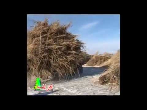 Видео: Ақши Алтай Қытай Қазақтары