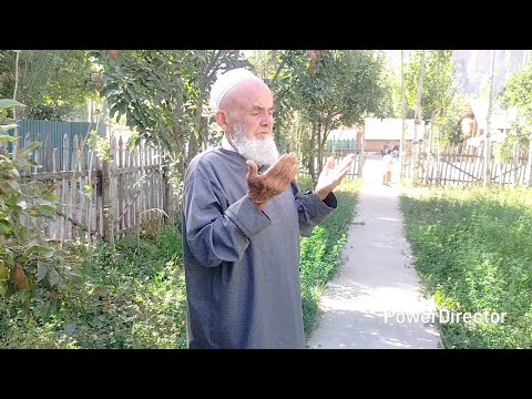 Видео: 11 августа 2025 г.Собик сар Аграноми Н Сангвор Собик Тавилдара Мухтарам Хабибулои Орифуло