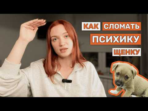 Видео: Все что вы знаете о дрессировке щенка это НЕПРАВДА