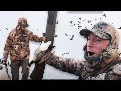 Видео: Лимит на 7 гусей в утином корме (неразборчиво)