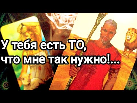 Видео: Что замышляет ❗💯💌Он считает, что перед этими действиями Вы не устоите ❗🌞💌💯❤️❤️