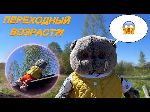 Видео: ПРОГУЛКА С БАСИКАМИ | Вредный Басик