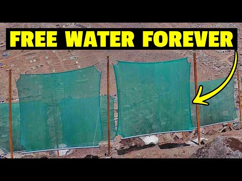 Видео: Сети для сбора тумана в пустыне ежедневно собирают 10 000 литров воды