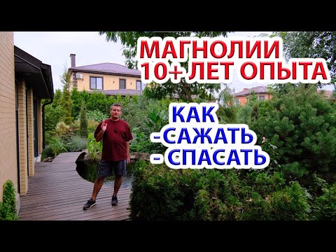 Видео: Магнолии - как сажать, выращивать, спасать 12+ лет опыта