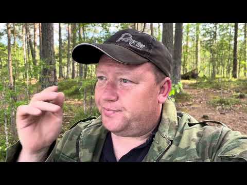 Видео: Панозеро 2024