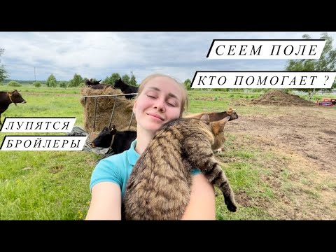 Видео: Кто помог нам ? Все новости ЛПХ