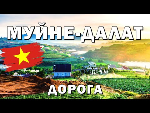 Видео: Муйне-Далат 2024.Мототрип.Серпантин, Водопад, Прогулка. #муйне #далат #вьетнам2024