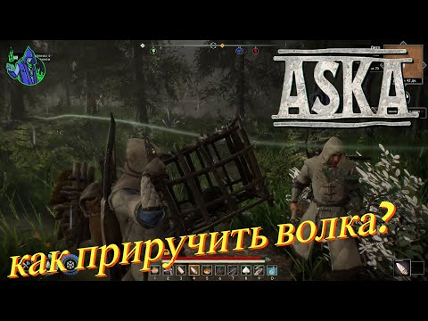 Видео: ASKA #10 - как приручить волка?