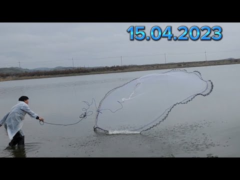 Видео: Рыбалка на кастинговую сеть на большой воде. 2023г. Сезон открыт.#рыбалка #fishing #slingshotfishing