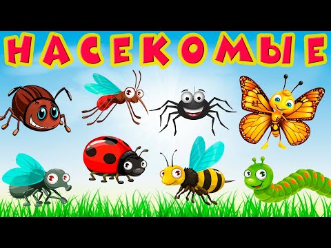 Видео: Насекомые для детей 🐝 Учим насекомых 🐞 Насекомые мультик 🐜 Насекомые звуки 🕷 Развивающие мультики